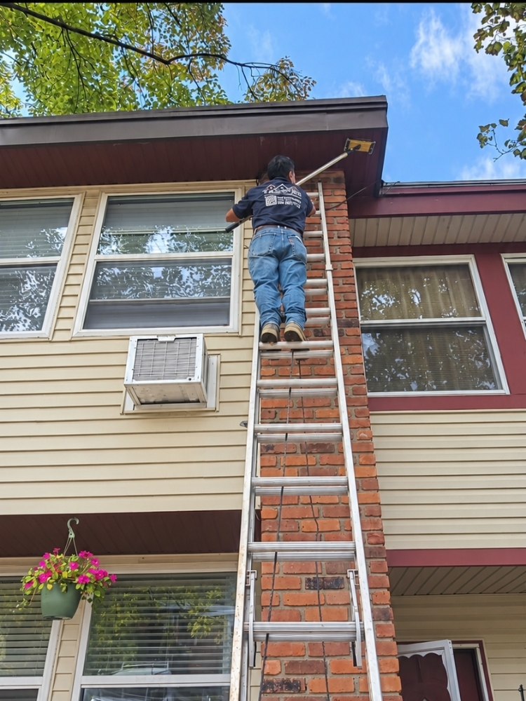 Interior and exterior painting
