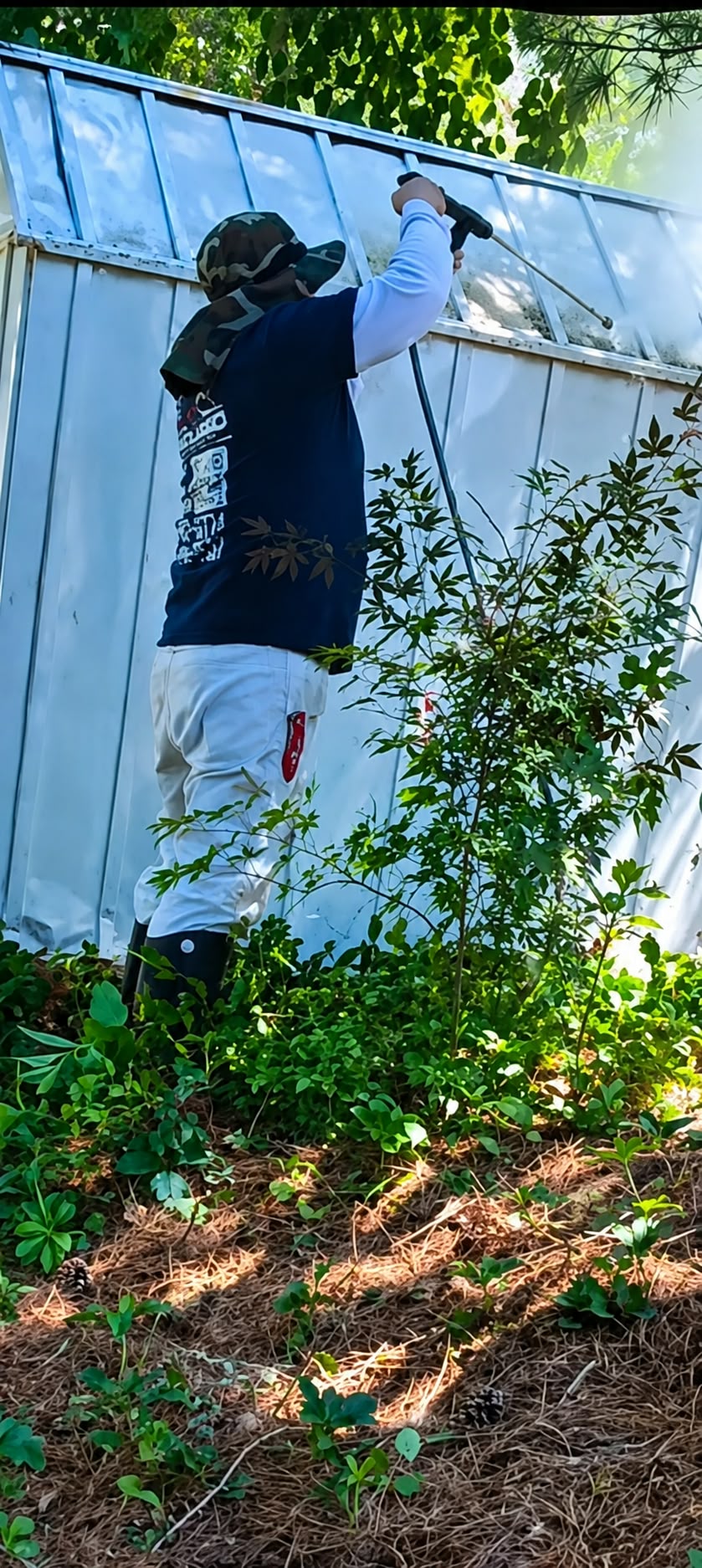 Shed and Exterior Structure Cleaning