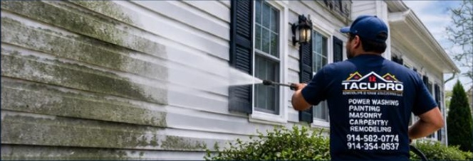 House Siding Cleaning
